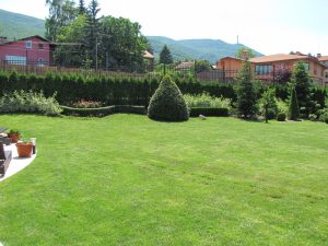 Поддръжка на двор в София, кв. Бояна