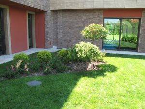 Поддръжка на двор в София, кв. Бояна