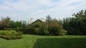 Поддръжка на двор в София, кв. Бояна