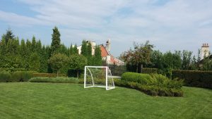 Поддръжка на двор в София, кв. Бояна