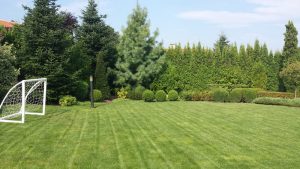 Поддръжка на двор в София, кв. Бояна