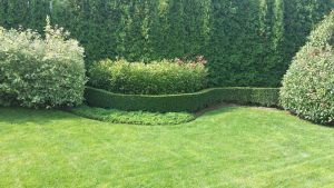 Поддръжка на двор в София, кв. Бояна