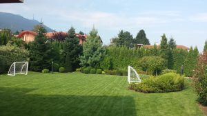 Поддръжка на двор в София, кв. Бояна