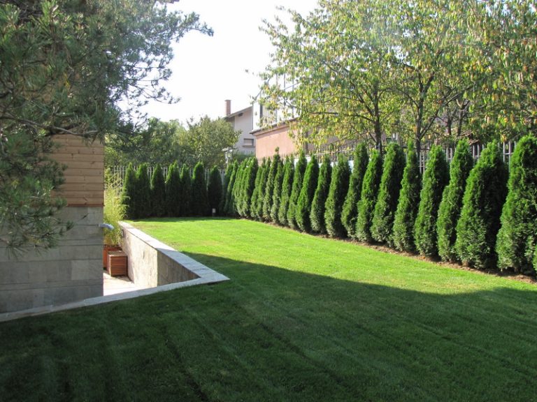 Поддръжка на двор в София, кв. Бояна - 3