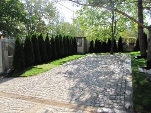 Поддръжка на двор в София, кв. Бояна – 3