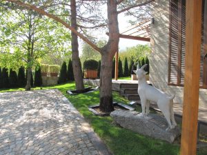 Поддръжка на двор в София, кв. Бояна – 3