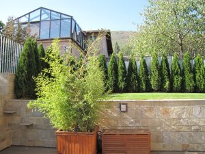 Поддръжка на двор в София, кв. Бояна – 3