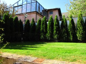 Поддръжка на двор в София, кв. Бояна – 3