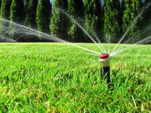 Поддръжка на двор в София, кв. Бояна – 3