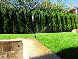 Поддръжка на двор в София, кв. Бояна – 3