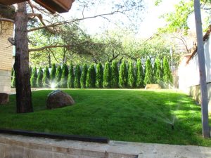 Поддръжка на двор в София, кв. Бояна – 3