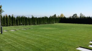 Поддръжка на двор в кв. Бояна – 4