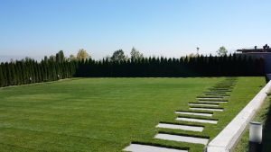 Поддръжка на двор в кв. Бояна – 4