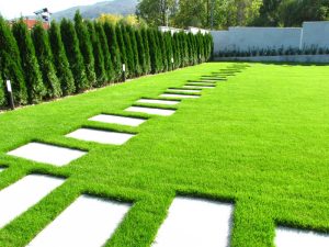 Поддръжка на двор в кв. Бояна – 4