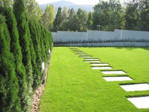 Поддръжка на двор в кв. Бояна – 4