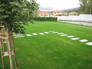 Поддръжка на двор в кв. Бояна – 4