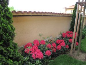 Поддръжка на двор в София, кв. Бояна – 5