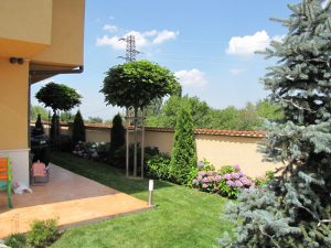 Поддръжка на двор в София, кв. Бояна – 5