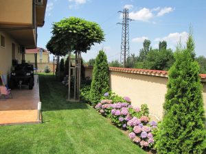 Поддръжка на двор в София, кв. Бояна – 5