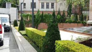 Озеленяване и поддръжка на Банка ДСК – Централно управление.