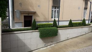 Озеленяване и поддръжка на Банка ДСК – Централно управление.