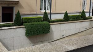 Озеленяване и поддръжка на Банка ДСК – Централно управление.