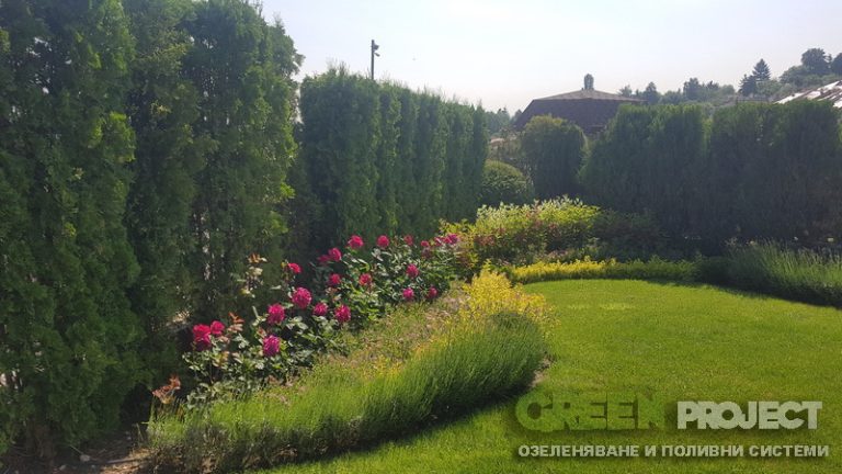 Поддръжка на двор в Бояна 5