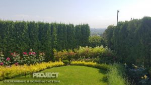 Поддръжка на двор в Бояна 5