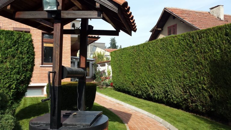 Озеленяване на двор в Банкя - 3