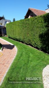 поддръжка на двор в гр. Банкя 3