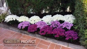 поддръжка на двор в гр. Банкя 3