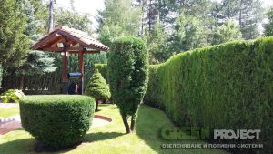 поддръжка на двор в гр. Банкя 3