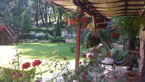 Поддръжка на двор в гр. Банкя (4)