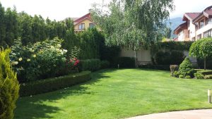 поддръжка на двор в София, кв. Драгалевци