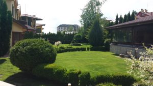 поддръжка на двор в София, кв. Драгалевци