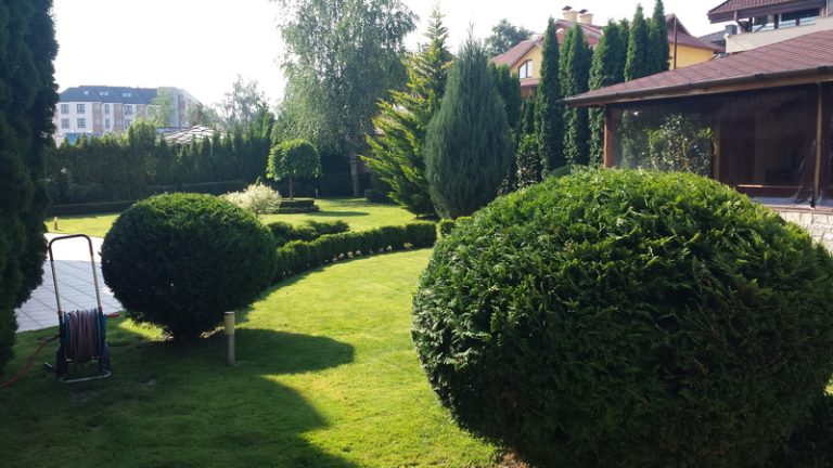 поддръжка на двор в София, кв. Драгалевци