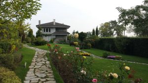 Поддръжка на градина в Бояна, София