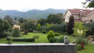 Поддръжка на градина в Бояна, София