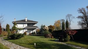 Поддръжка на градина в Бояна, София