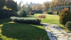 Поддръжка на градина в Бояна, София