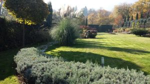 Поддръжка на градина в Бояна, София