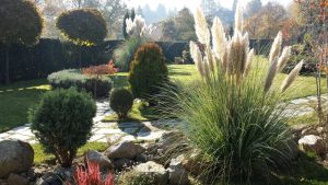 Поддръжка на градина в Бояна, София