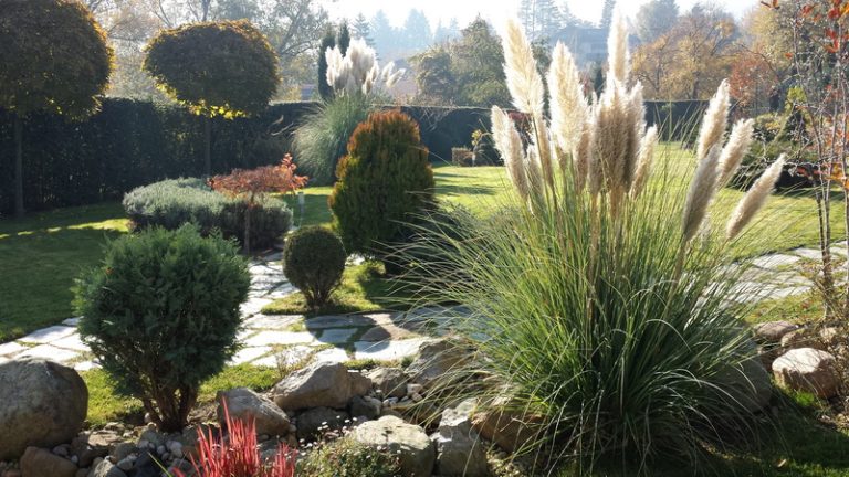 Поддръжка на градина в Бояна, София