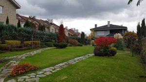 Поддръжка на градина в Бояна, София