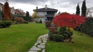 Поддръжка на градина в Бояна, София