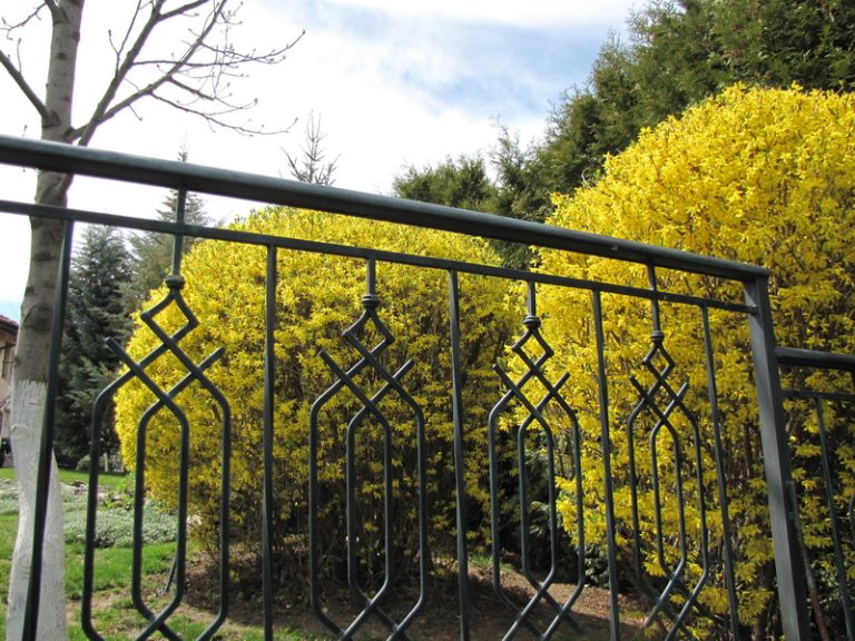 поддръжка на двор в София, кв. Симеоново