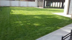 Поддръжка на двор в гр. Банкя – 2