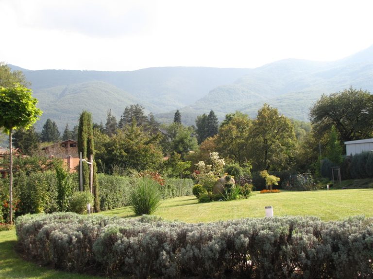 Частична реконструкция на озеленяването на двор в кв. Бояна, София