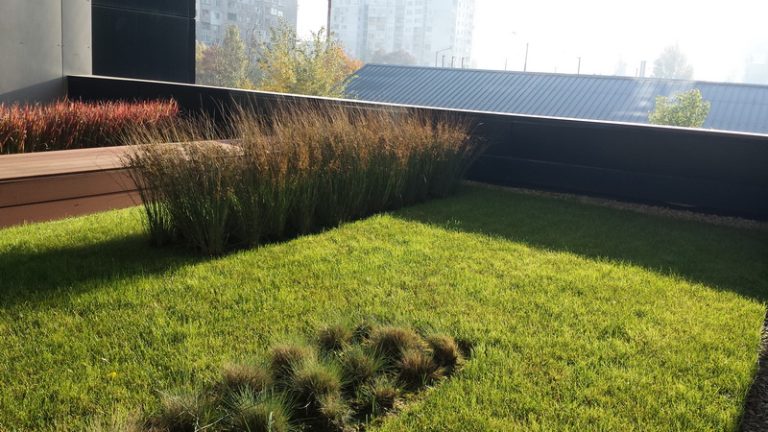 Покривно озеленяване ДСК Люлин