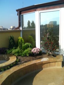 покривно озеленяване на сграда в гр. София